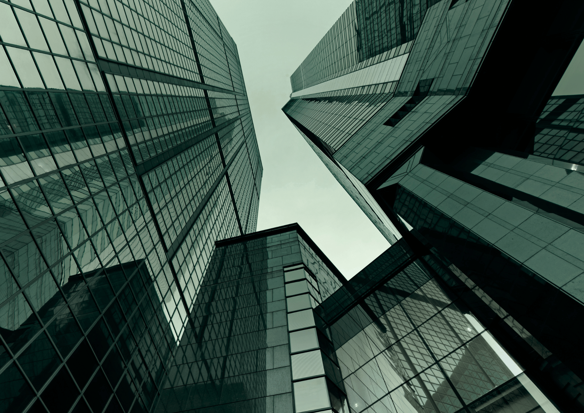 Design sem nome (20).png